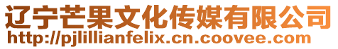 遼寧芒果文化傳媒有限公司