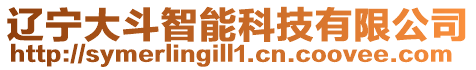 遼寧大斗智能科技有限公司