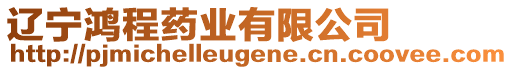 遼寧鴻程藥業(yè)有限公司