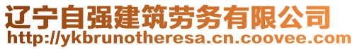 遼寧自強建筑勞務有限公司