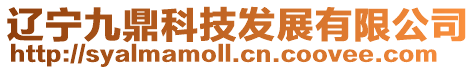 遼寧九鼎科技發展有限公司