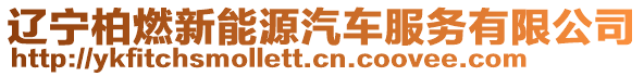 遼寧柏燃新能源汽車服務(wù)有限公司