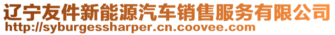 遼寧友件新能源汽車銷售服務(wù)有限公司