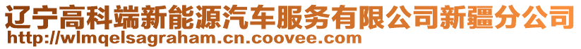 遼寧高科端新能源汽車服務有限公司新疆分公司
