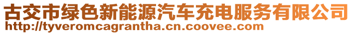 古交市綠色新能源汽車充電服務(wù)有限公司