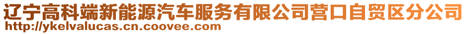 遼寧高科端新能源汽車服務有限公司營口自貿區分公司