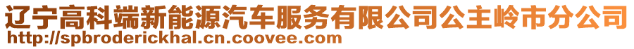 遼寧高科端新能源汽車服務(wù)有限公司公主嶺市分公司