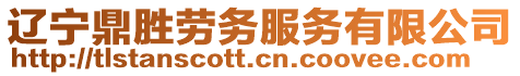 遼寧鼎勝勞務(wù)服務(wù)有限公司