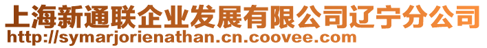 上海新通聯(lián)企業(yè)發(fā)展有限公司遼寧分公司