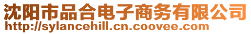 沈陽市品合電子商務有限公司