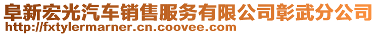 阜新宏光汽車銷售服務有限公司彰武分公司