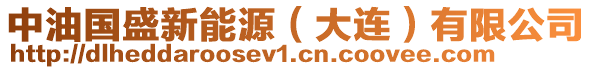 中油國盛新能源(大連)有限公司