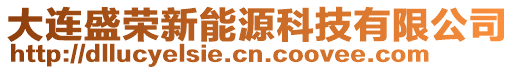 大連盛榮新能源科技有限公司