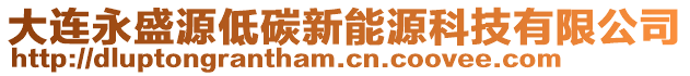 大連永盛源低碳新能源科技有限公司