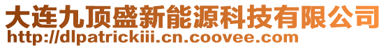 大連九頂盛新能源科技有限公司