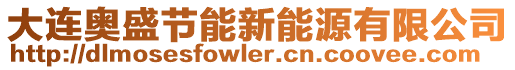 大連奧盛節(jié)能新能源有限公司