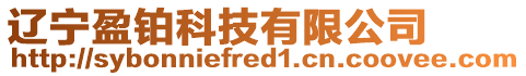 遼寧盈鉑科技有限公司