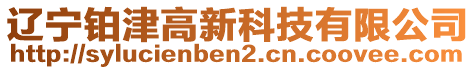 遼寧鉑津高新科技有限公司