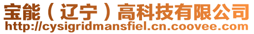 寶能(遼寧)高科技有限公司