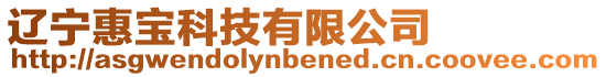 遼寧惠寶科技有限公司