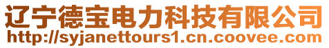 遼寧德寶電力科技有限公司