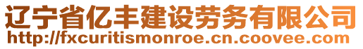 遼寧省億豐建設(shè)勞務(wù)有限公司