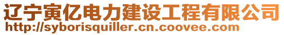 遼寧寅億電力建設(shè)工程有限公司