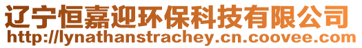 遼寧恒嘉迎環(huán)保科技有限公司