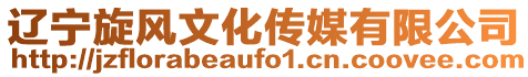 遼寧旋風文化傳媒有限公司