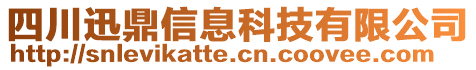 四川迅鼎信息科技有限公司