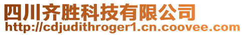 四川齊勝科技有限公司