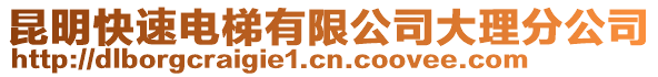 昆明快速電梯有限公司大理分公司