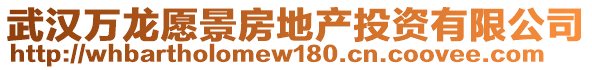 武漢萬龍愿景房地產投資有限公司