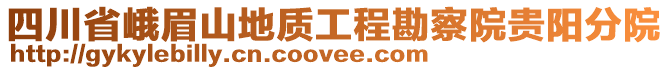 四川省峨眉山地質(zhì)工程勘察院貴陽分院