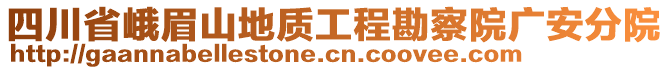 四川省峨眉山地質(zhì)工程勘察院廣安分院