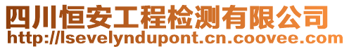 四川恒安工程檢測有限公司