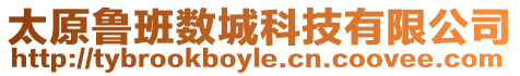 太原魯班數(shù)城科技有限公司