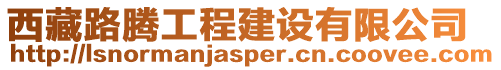 西藏路騰工程建設有限公司
