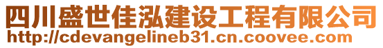 四川盛世佳泓建設工程有限公司