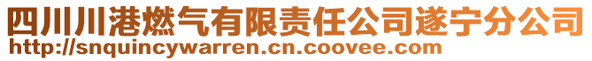 四川川港燃?xì)庥邢挢?zé)任公司遂寧分公司