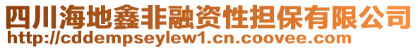 四川海地鑫非融資性擔(dān)保有限公司