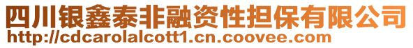 四川銀鑫泰非融資性擔(dān)保有限公司