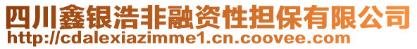 四川鑫銀浩非融資性擔(dān)保有限公司