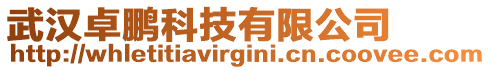 武漢卓鵬科技有限公司