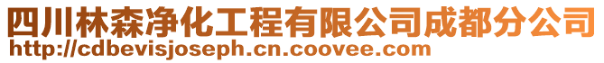 四川林森凈化工程有限公司成都分公司