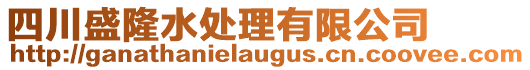 四川盛隆水處理有限公司