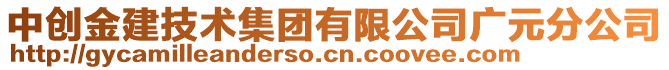 中創金建技術集團有限公司廣元分公司