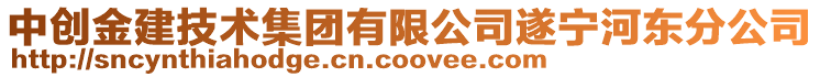 中創(chuàng)金建技術集團有限公司遂寧河東分公司