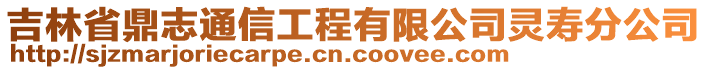 吉林省鼎志通信工程有限公司靈壽分公司