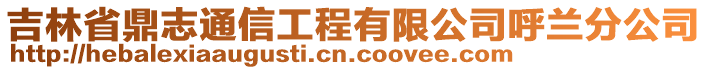 吉林省鼎志通信工程有限公司呼蘭分公司